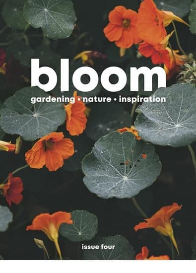 Bloom magazine cover