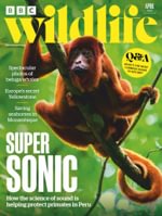 BBC Wildlife Magazine