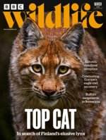 BBC Wildlife Magazine