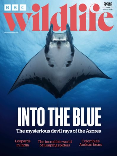 BBC Wildlife Magazine digital cover