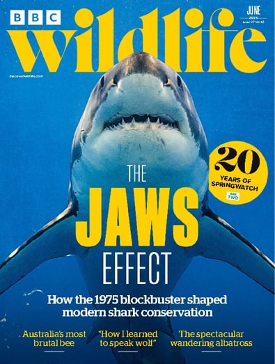 BBC Wildlife Magazine digital cover