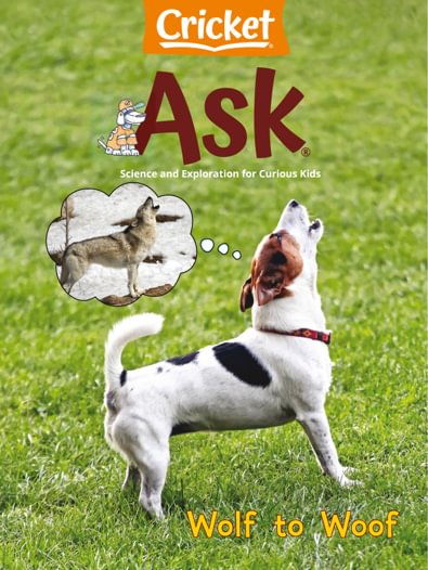 Ask Science And Arts Magazine For Kids And Childre Digital