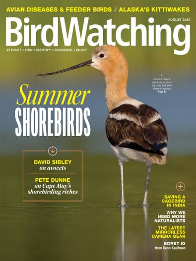 BirdWatching digital cover