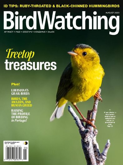 BirdWatching digital cover