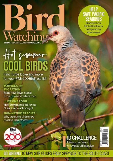Bird Watching digital cover