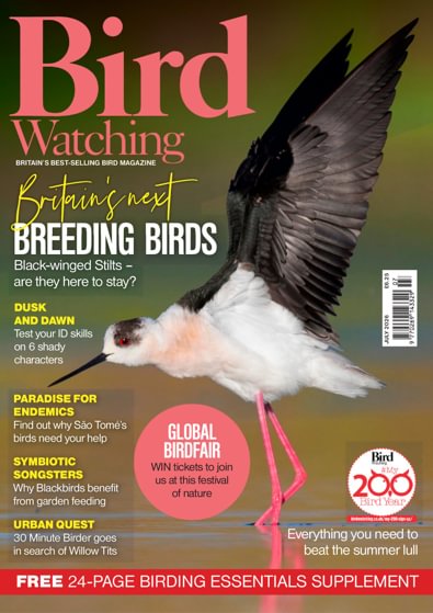 Bird Watching digital cover