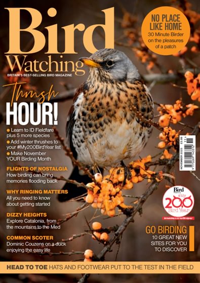 Bird Watching digital cover
