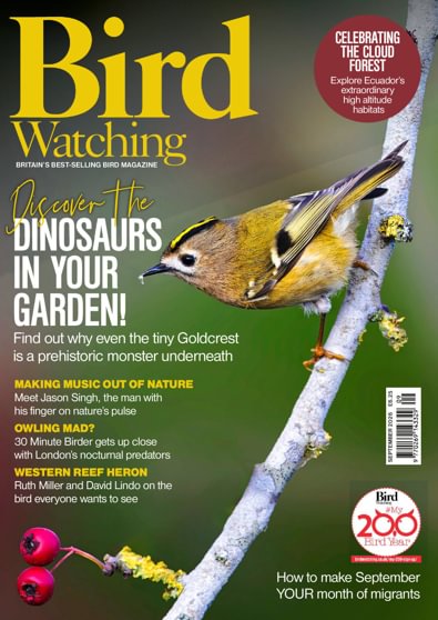 Bird Watching digital cover
