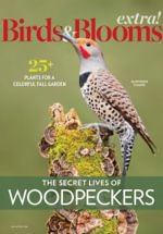 Birds and Blooms Extra