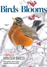 Birds and Blooms Extra