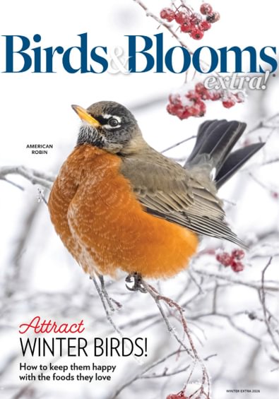 Birds and Blooms Extra digital cover