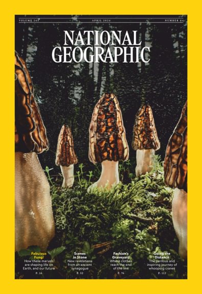 National Geographic Interactive digital cover