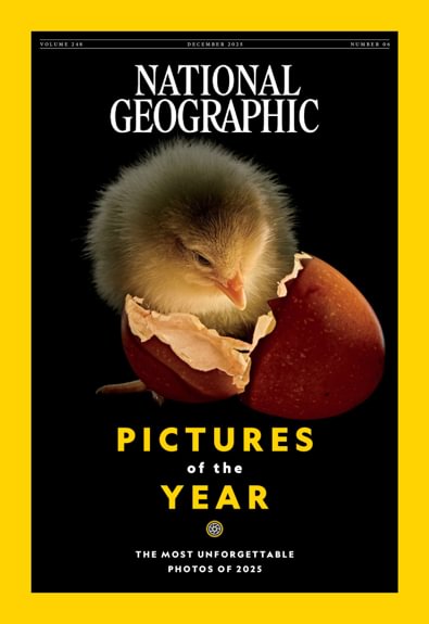 National Geographic Interactive digital cover