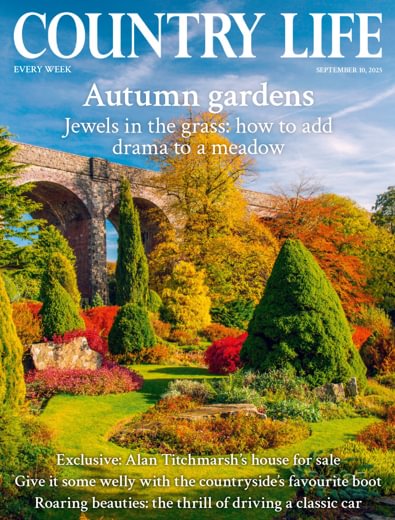 Country Life digital cover