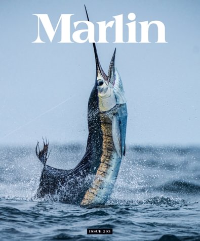 Marlin digital cover