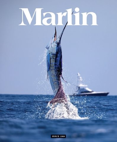 Marlin digital cover