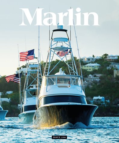 Marlin digital cover