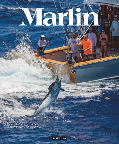 Marlin digital cover