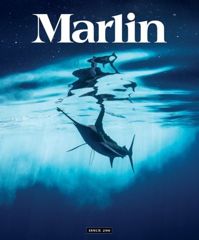 Marlin digital cover