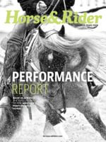 Horse & Rider