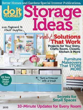 Do It Yourself Storage 2015 digital cover