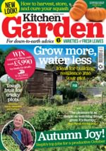 Kitchen Garden