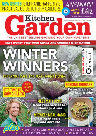 Kitchen Garden digital cover
