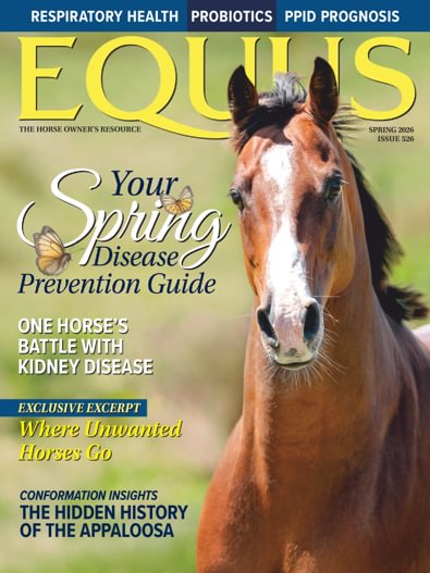 Equus digital cover