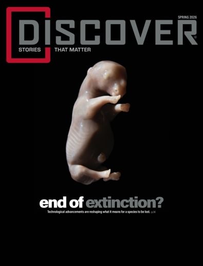 Discover digital cover