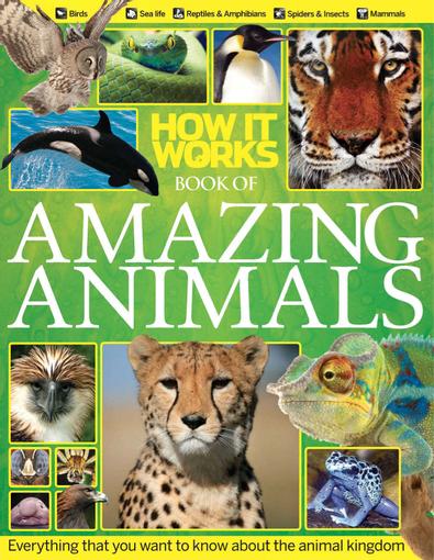 How It Works Book of Amazing Animals digital cover