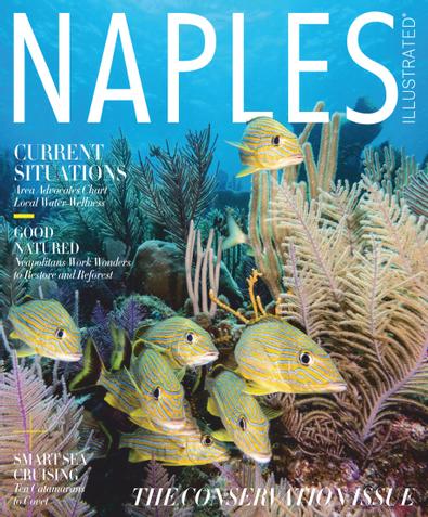 Naples Illustrated digital cover