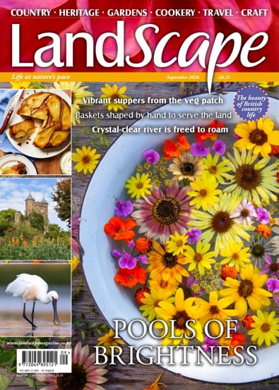 Landscape Magazine digital cover