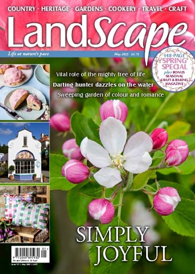 Landscape Magazine digital cover