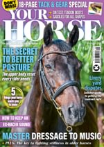 Your Horse