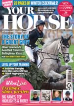 Your Horse