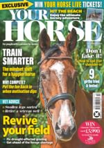 Your Horse