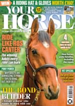 Your Horse