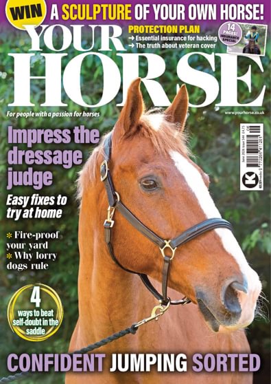 Your Horse digital cover