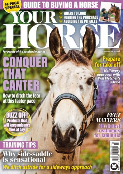 Your Horse digital cover