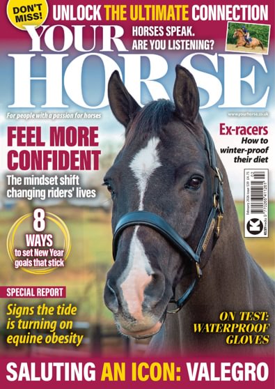 Your Horse digital cover