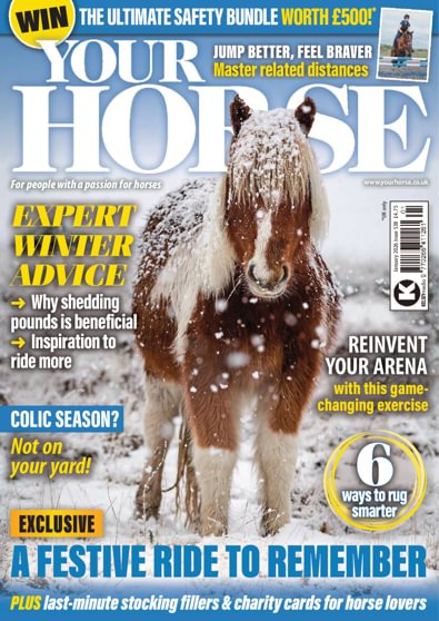 Your Horse digital cover