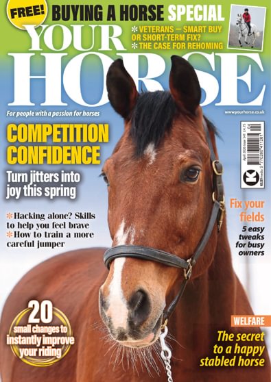 Your Horse digital cover
