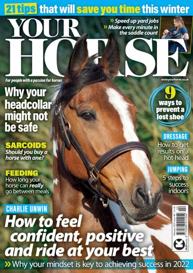 Your Horse digital cover