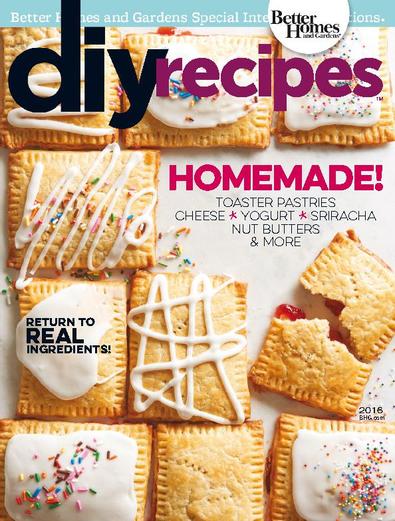 DIY Recipes digital cover