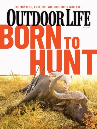 Outdoor Life digital cover