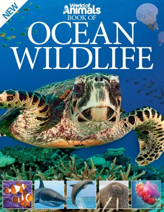 World of Animals Book of Ocean Wildlife digital cover