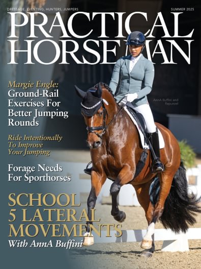 Practical Horseman digital cover