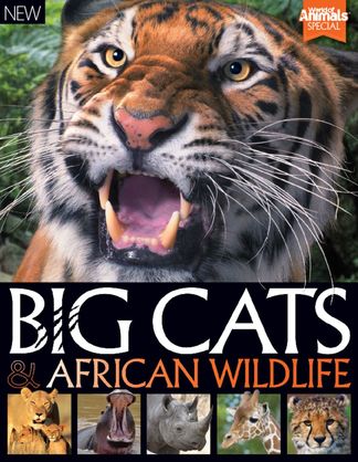 World of Animals Book of Big Cats and African Wild digital cover