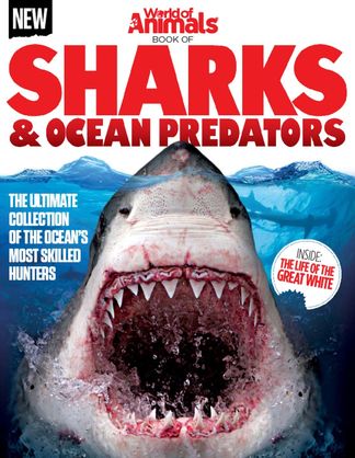 World of Animals Book of Sharks & Ocean Predators digital cover