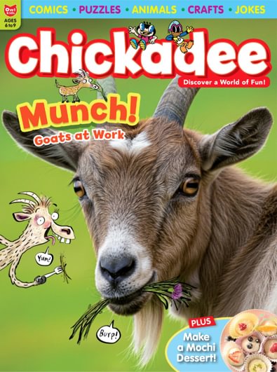 Chickadee digital cover